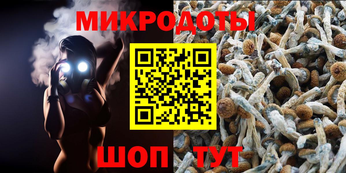 Псилоцибиновые грибы Cubensis Железногорск