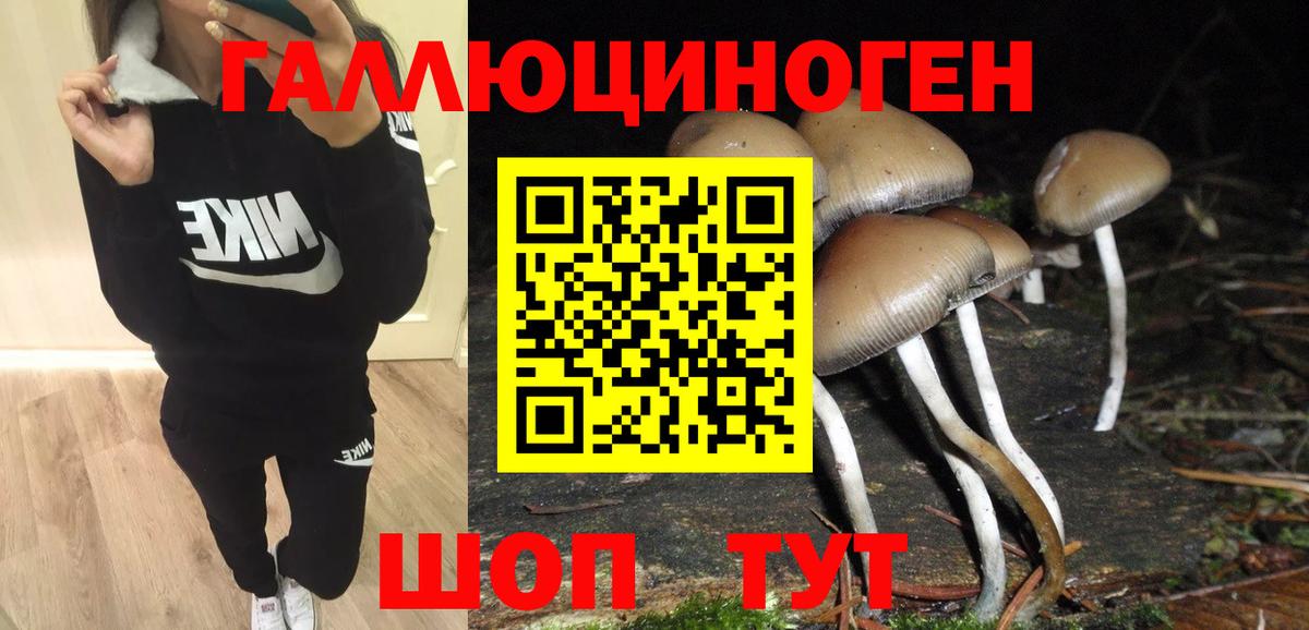 Галлюциногенные грибы Psilocybe  Вход с VPN  сколько стоит  Железногорск 